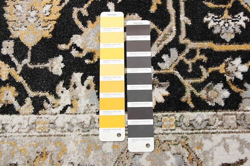 Tapis Lavable ECARPET Oriental pour Chambre, Salon, Chambre d'Enfant, Couloir