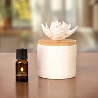 Huile essentielle 100% ScentSationals, Citron 15 ml (0,5 une fois liquide)