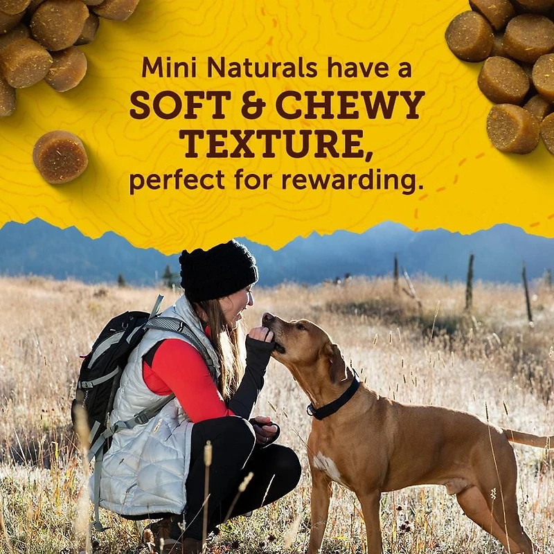 Zuke's Mini Naturals Tender Bites Salmon Recipe, Dog Treats, 170-454 g