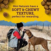 Zuke's Mini Naturals Tender Bites Salmon Recipe, Dog Treats, 170-454 g