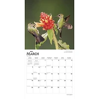 Hummingbirds | 2023 12x24 Inch Square Wall Calendar