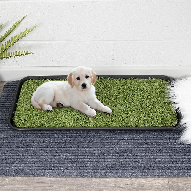 Tapis d’entraînement à la propreté pour animaux avec plateau de la collection Pet