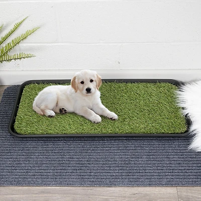 Tapis d’entraînement à la propreté pour animaux avec plateau de la collection Pet
