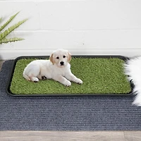 Tapis d’entraînement à la propreté pour animaux avec plateau de la collection Pet