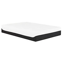 Primo Aspen 10-inch Gel Memory Foam Mattresses with 2 Pillows – Queen Size, Medium Firm, Cooling Sleep, CertiPUR-US Certified