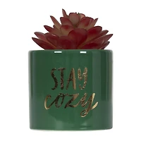 Fausse plante grasse miniature Stay Cozy Bice