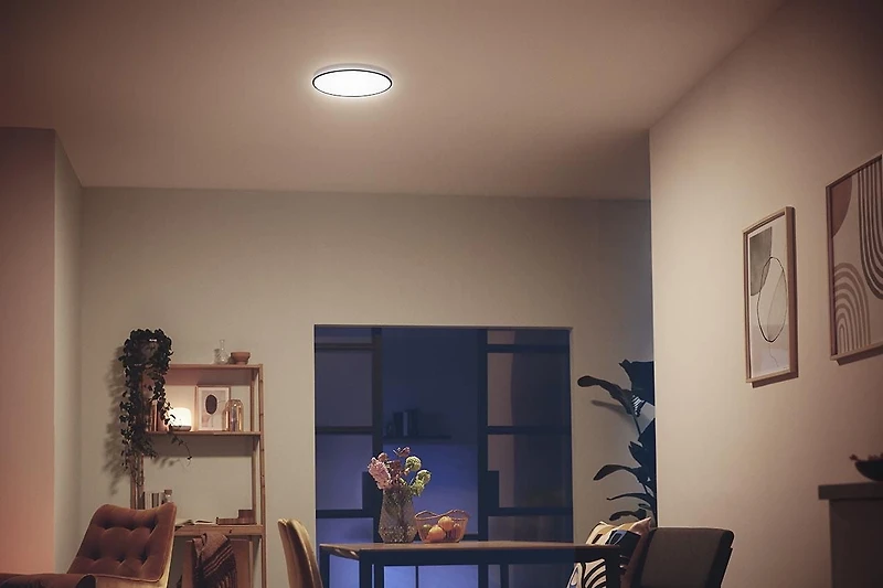 Philips 11,8 pouces LED intégré 22W 100W Super Slim éclairage encastré Plafonnier LED Philips 11,8"