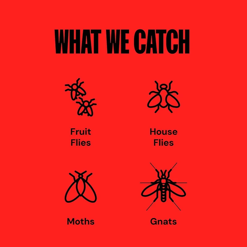 Piège à mouches d'intérieur Dynatrap - Blanc