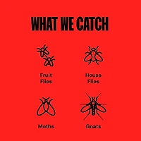 Piège à mouches d'intérieur Dynatrap - Blanc