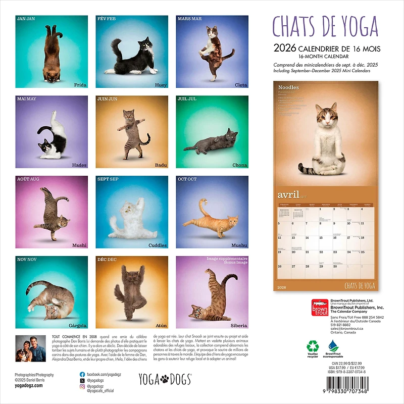 Chats de Yoga 2026 Square FRENCH BTCA
