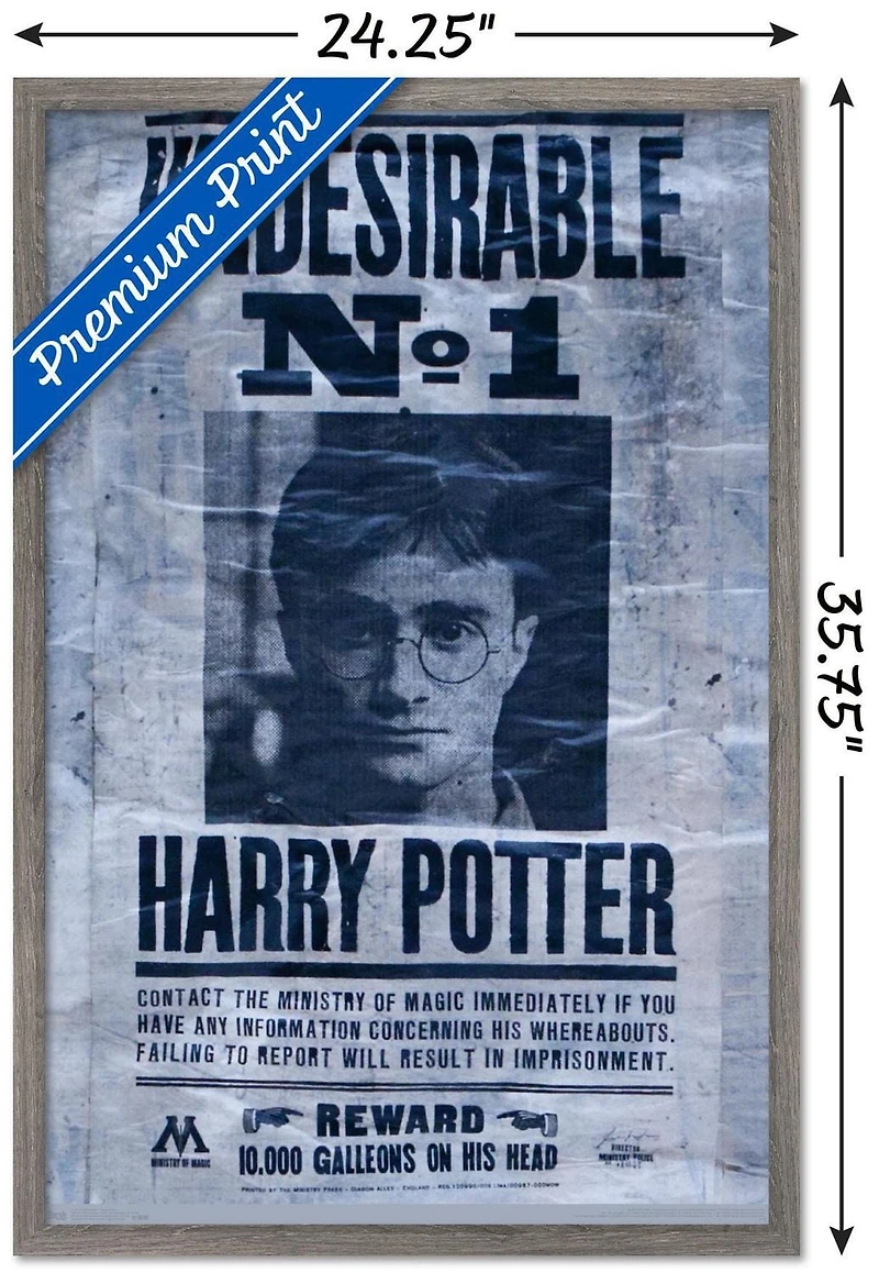 Le Monde des Sorciers : Harry Potter - Indésirable