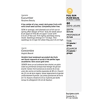 Burpee Burpless Beauty Cucumber