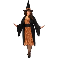 Rubies Witch Costume for Adults, Womens Small (Size 4-6)
