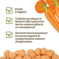 Living World Small Animal Drops, Carrot Flavour 75 G, 75 g (2.6 oz)Carrot Flavour