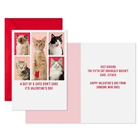 Paquet de 4 cartes comiques de la Saint-Valentin, Shoebox de Hallmark (« Cats Don't Care »)
