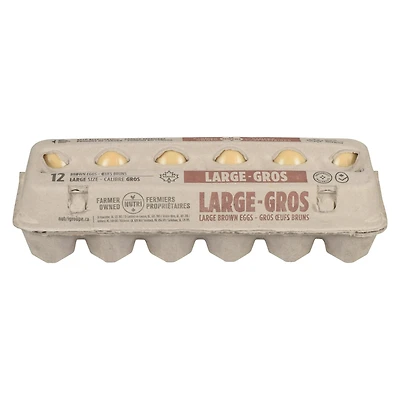Nutri Gros Bruns 12 Œufs