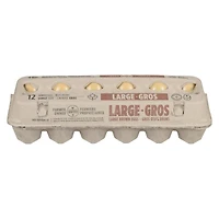 Nutri Gros Bruns 12 Œufs