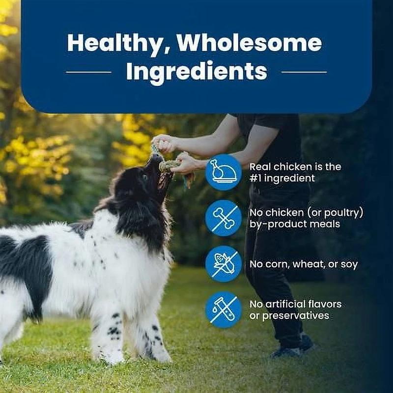 BLUE Life Protection Formula Adult Lamb & Brown Rice Dry Dog Food, 2.2kg