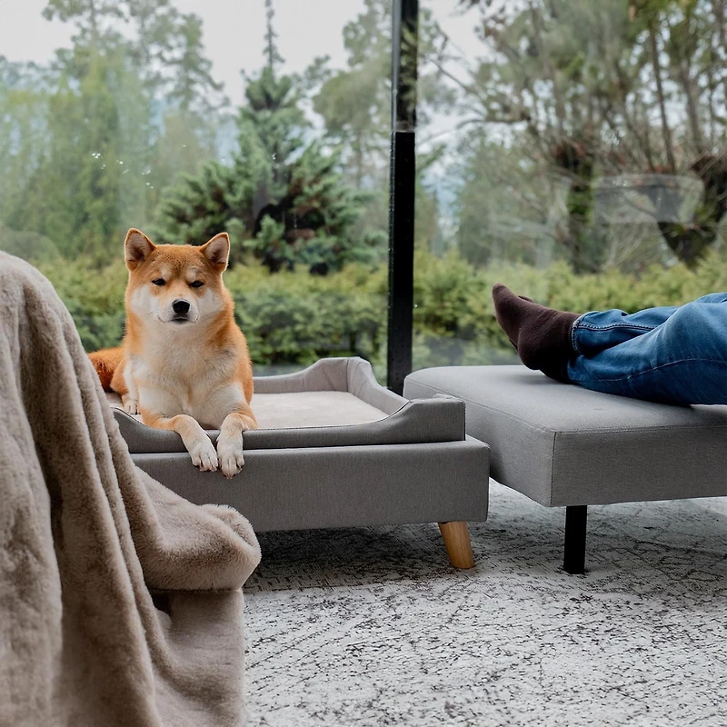 Pouf pour Animaux Instachew BENCHI - Gris - Taille unique