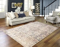 Emily  7x9 Area Rug