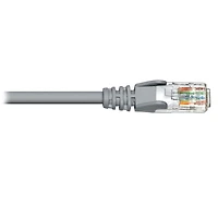 BlueDiamond Câble de raccordement Ethernet Cat6 homologué CSA et UL - 100pi, gris
