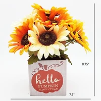 Way To Celebrate "Hello Pumpkin" Sunflowers Floral-In-A-Box