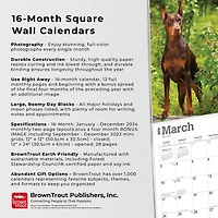 BrownTrout Dobermans 2024 Mur Carré 30.48x60.96 CM, 9781975462581