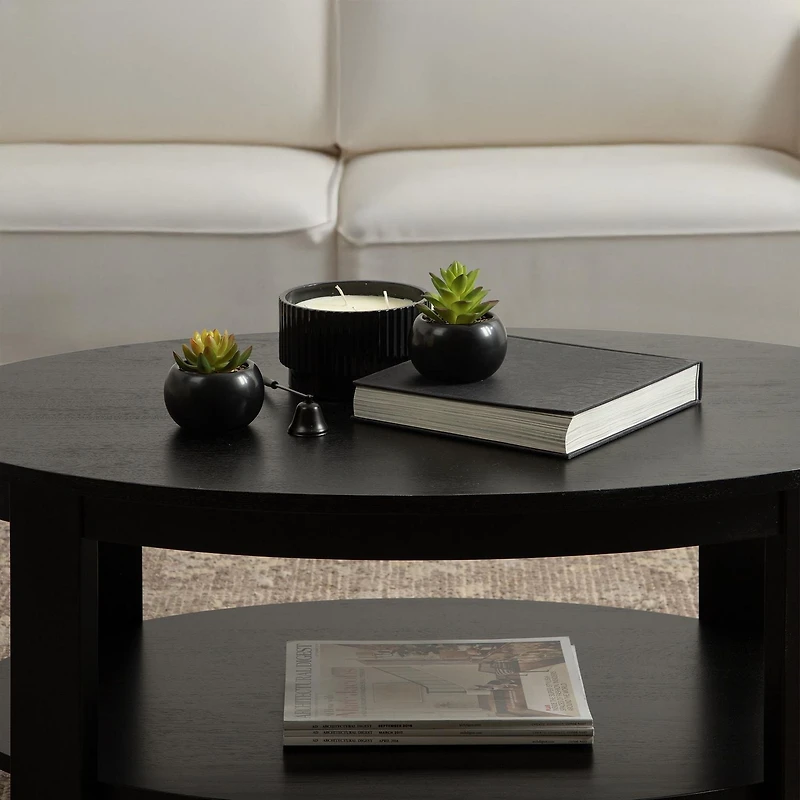 Hometrends Kelvin Succulent A