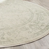 SAFAVIEH Adirondack Wyatt Traditional Area Rug