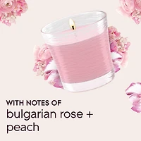Glade® Scented Candle Air Freshener, Angel Whispers, 1-Wick Candle
