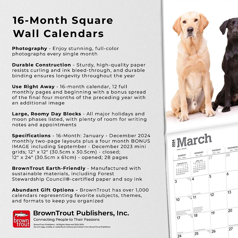 BrownTrout Labrador Retrievers 2024 12x24 Inch Square Wall Calendar, 9781975463588