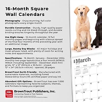 BrownTrout Labrador Retrievers 2024 12x24 Inch Square Wall Calendar, 9781975463588