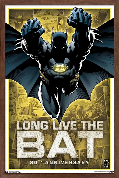 DC Comics - Batman - 80e anniversaire
