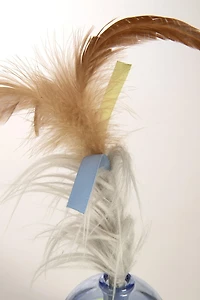 SmartyKat Spinner idiot