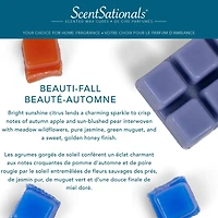 ScentSationals Scented Wax Cubes -Beauti-Fall
