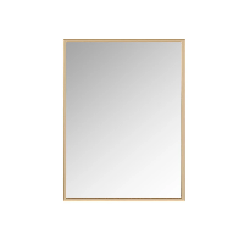 A&E Bath and Shower Tashi Gold 24x32 Bathroom Mirror