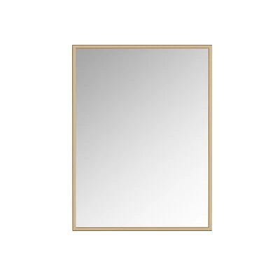 A&E Bath and Shower Tashi Gold 24x32 Bathroom Mirror