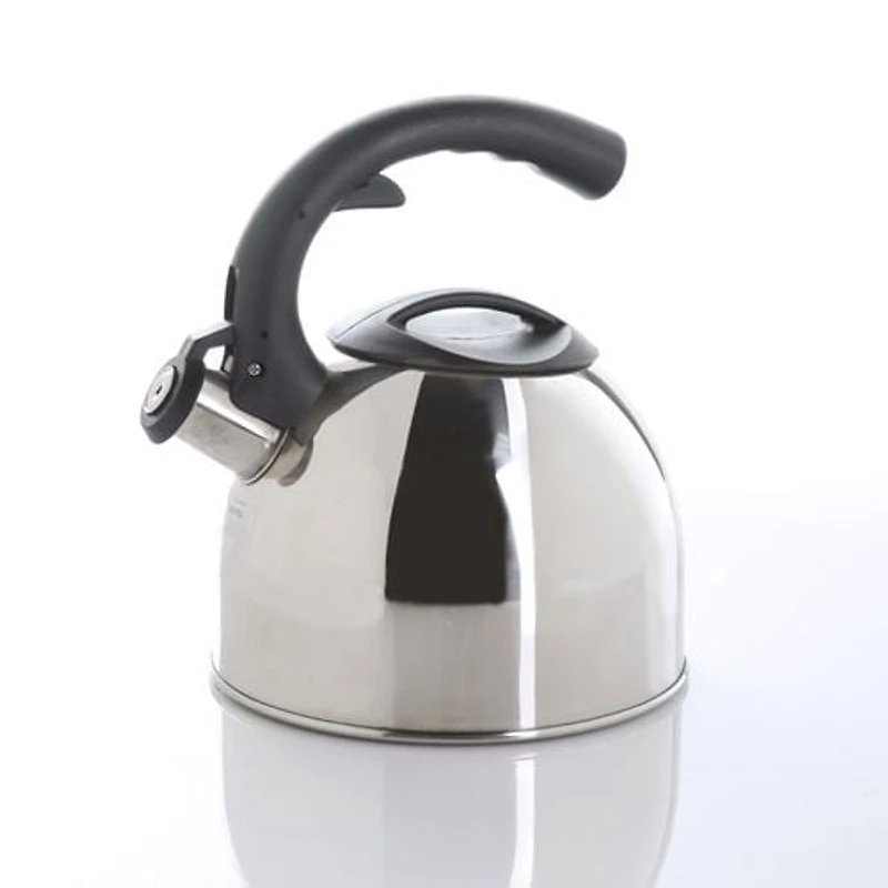 Bouilloire sifflante de hometrends 1,7 l