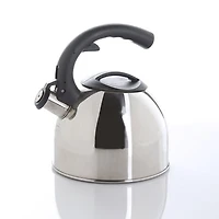 Bouilloire sifflante de hometrends 1,7 l