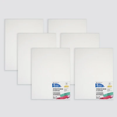 Northshore 6 pack 12"x16" stretched canvas