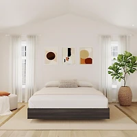 Nexera Tribeca Full Size Platform Ebony Bed