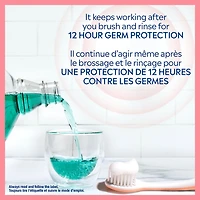 Colgate PerioGard Protect Gum Mouthwash, 1L, PerioGard Gum Care Mouthwash