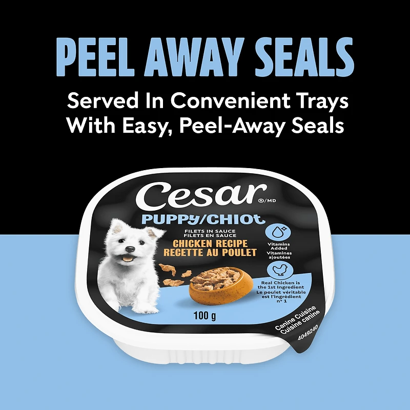 Nourriture humide et moelleuse pour chiots CESAR Pain classique en sauce Recette au poulet et au bœuf, (24) barquettes de 100 g faciles à ouvrir