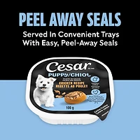 Nourriture humide et moelleuse pour chiots CESAR Pain classique en sauce Recette au poulet et au bœuf, (24) barquettes de 100 g faciles à ouvrir