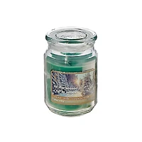 18 Oz Scented Jar Candle (Tis The Season) - Set of 2