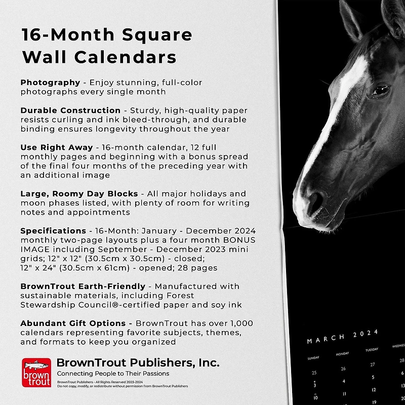 BrownTrout The BrownTrout Portrait Series: The Noble Horse 2024 12x24 Inch Square Wall Calendar, 9781975463120