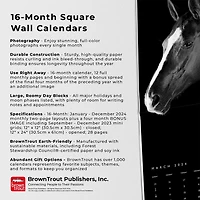 BrownTrout The BrownTrout Portrait Series: The Noble Horse 2024 12x24 Inch Square Wall Calendar, 9781975463120