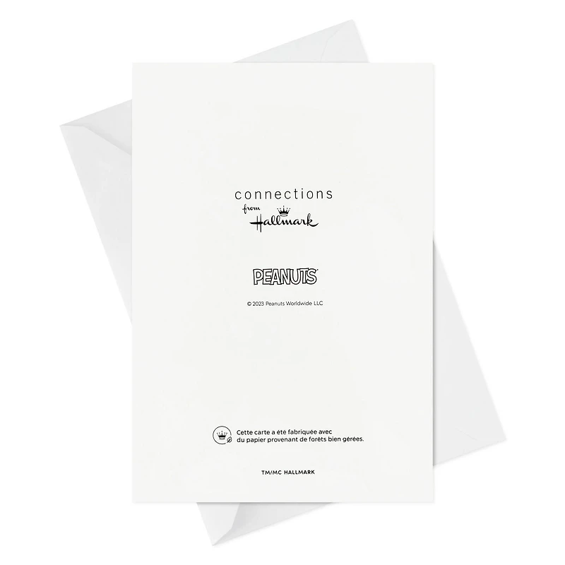 Boîte de cartes en français de Noël, Connections from Hallmark, la bande Peanuts, paquet de 36 cartes