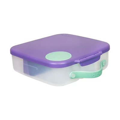 b.box - 5-Compartment Bento Style Lunch Box for Kids, Toddlers, Children, BPA-Free Food Storage Container with Cooler Pack, ON-The-GO Food Box with Handles Included Custom Divider