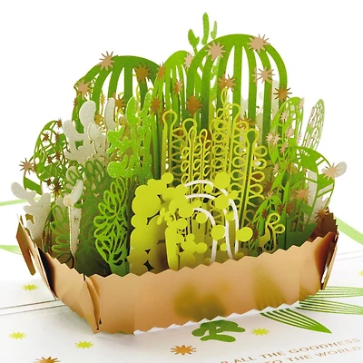 Hallmark Signature Paper Wonder Pop Up Thank You Card, Succulents (Nurses Day Card, Teacher Appreciation )